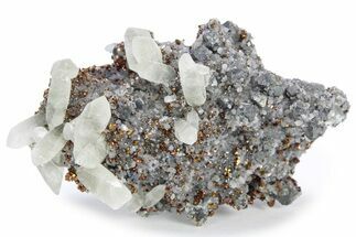 Iridescent Chalcopyrite, Calcite & Dolomite on Galena - Missouri #241760