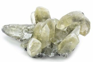Lustrous Calcite Crystals on Dolomite - Missouri #241818