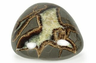 Beautiful Polished Septarian Nodule - Utah #242486