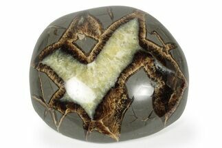 Beautiful Polished Septarian Nodule - Utah #242487