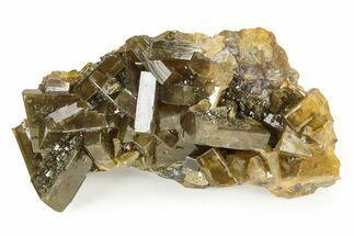 Tabular Golden Barite Cluster - Xiefang Mine, China #242582