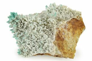 White and Teal Aragonite Formation - Pilhuatepec, Mexico #242662
