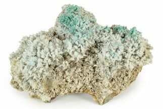 White and Teal Aragonite Formation - Pilhuatepec, Mexico #242666