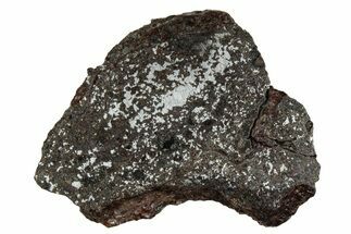 Polished Stony-Iron Mesosiderite Meteorite ( grams) - Chile #242891