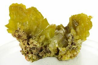 Lustrous Apple-Green Pyromorphite Crystal Cluster - China #242839