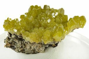 2.3 Yellow-Green Botryoidal Pyromorphite - Ojuela Mine, Mexico (#236823)  For Sale 