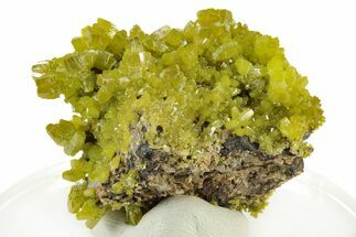Lustrous Apple-Green Pyromorphite Crystal Cluster - China #242855