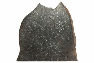 Polished Tulia (a) Meteorite Slice ( grams) - Texas #243007