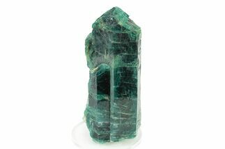 Lustrous, Blue-Green Fluorapatite Crystal - New Find! #243398