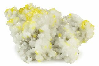 Striking Yellow Sulfur Crystals on Celestine (Celestite) - Italy #243401