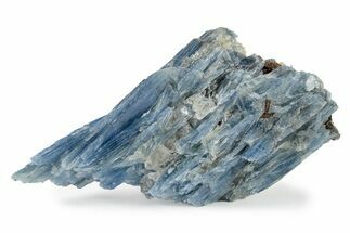 Vibrant Blue Kyanite Crystals In Quartz - Brazil #243611