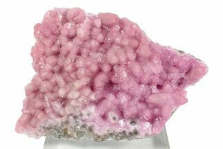 Cobaltoan Calcite Crystal Cluster - Bou Azzer, Morocco #243517