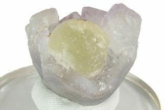 Botryoidal Green Fluorite on Amethyst - India #243819