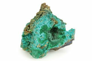 Vibrant Green Conichalcite with Chrysocolla - Namibia #244374