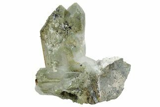 Anatase Crystals on Quartz with Chlorite Inclusions - Pakistan #244291