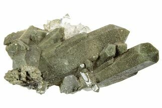 Chlorite Included Quartz Crystal Cluster - Pakistan #244310
