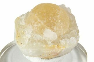 Botryoidal Yellow Fluorite on Quartz - India #244496