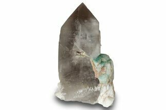 Amazonite on Smoky Quartz Crystal - Colorado #244508