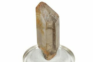 Glassy Rutilated Quartz Crystal - Brazil #244788