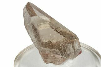 Glassy Rutilated Smoky Quartz Crystal - Brazil #244790