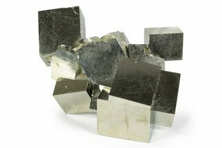 Shiny, Natural Pyrite Cube Cluster - Navajun, Spain #244979