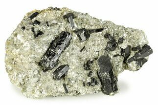 Black Tourmaline (Schorl) Crystals With Mica - Virginia #244883