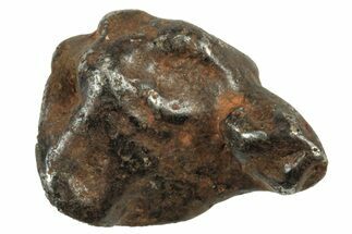Canyon Diablo Iron Meteorites (- Grams) - Arizona #245583