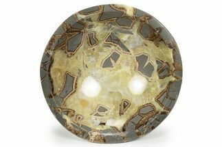 Polished Septarian Bowl - Utah #241995