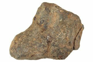 Agoudal Iron Meteorite ( grams) - Morocco #245623
