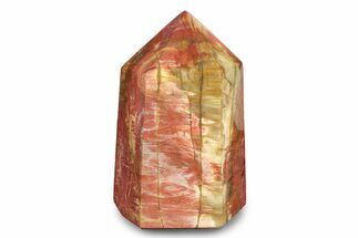 Colorful, Polished Petrified Wood Tower - Madagascar #245473