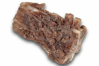 Twinned Aragonite Crystal Cluster - Minglanilla, Spain #244838