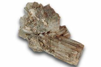 Twinned Aragonite Crystal Cluster - Minglanilla, Spain #244847