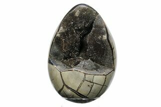 Septarian Dragon Egg Geode - Black Crystals #246064