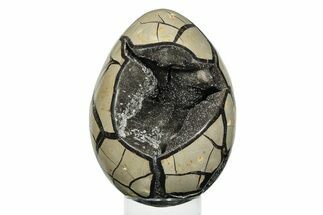 Septarian Dragon Egg Geode - Black Crystals #246121