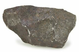 Canyon Diablo Iron Meteorite ( g) - Arizona #246902