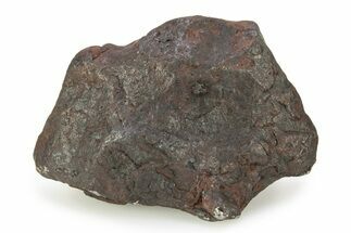 Canyon Diablo Iron Meteorite ( grams) - Arizona #246909