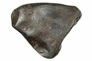 Fusion Crusted Sikhote-Alin Iron Meteorite ( grams) - Russia #246932