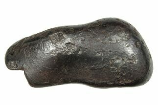 Fusion Crusted Sikhote-Alin Iron Meteorite ( grams) - Russia #246935