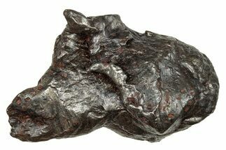 Sikhote-Alin Iron Meteorite Shrapnel ( g) - Russia #246948