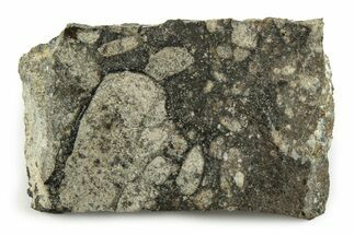 Polished Eucrite Meteorite ( g) Slice - Africa #247019