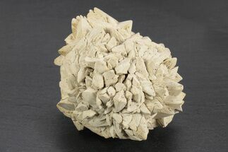 Stellate Glendonite (Calcite Pseudomorph) Cluster - Russia #247220