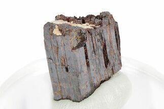 Lustrous, Red-Brown Rutile Crystal - Québec, Canada #247286