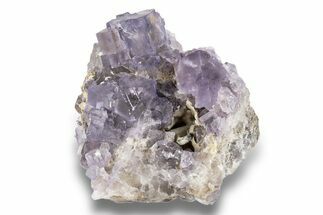 Purple Cubic Fluorite Crystal Cluster - Cave-In-Rock #246727