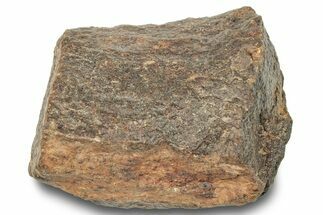 Chondrite Meteorite ( grams) - Western Sahara Desert #247521