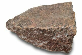 Chondrite Meteorite ( grams) - Western Sahara Desert #247505