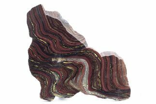 Polished Tiger Iron Stromatolite Slab - Billion Years #247791