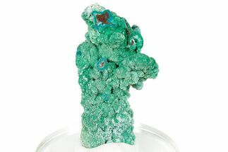Green Conichalcite on Chrysocolla - Namibia #247969