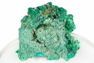 Forest Green Conichalcite on Chrysocolla - Namibia #247974