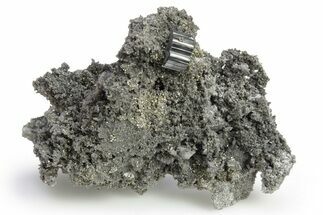 Metallic Bournonite Crystal on Quartz and Pyrite - Bolivia #248548