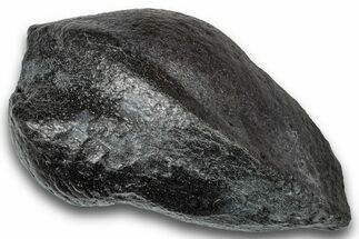 Fossil Whale Ear Bone - South Carolina #248400